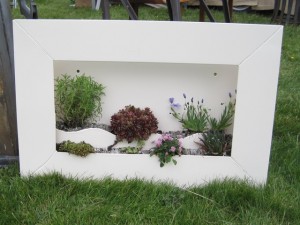 Living Picture Frame